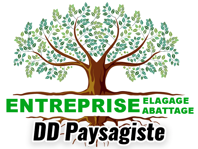 DD Paysagiste 35