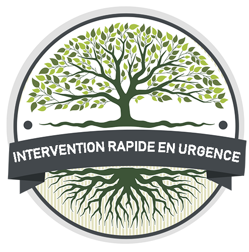 logo urgence